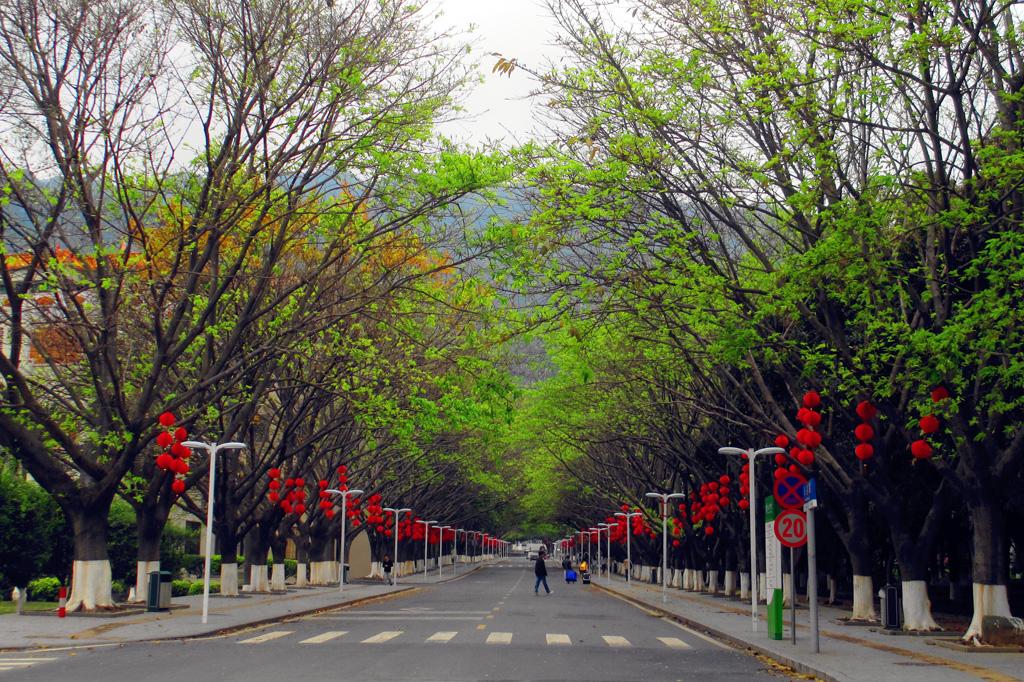 海容校道